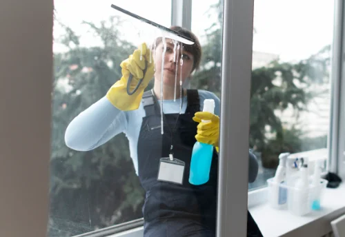 Nettoyage de vitres intérieures et extérieures à Soulangis